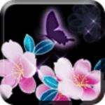 sakura night android application logo